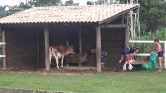 Peoas iniciam tarefas na sede - A Fazenda 12