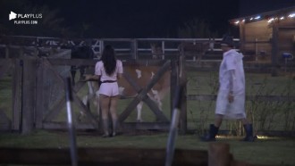 Peões esquecem de prender vaca - A Fazenda 12
