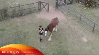 Peões trabalham no campo - A Fazenda 12