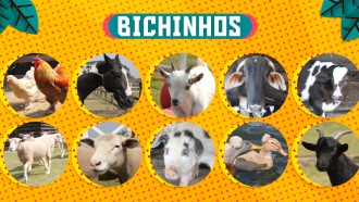 Você sabe tudo sobre o trato de animais em A Fazenda 16?