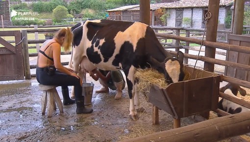 Bifão: 'Posso dormir tranquila já que Andrea e Tati não vão mais brigar'