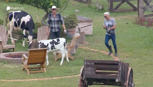 Guilherme Leão e Viny Vieira tomam verdadeiro olé de bezerro