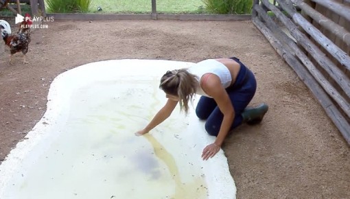 Hari Almeida e Viny Vieira cuidam da limpeza do galinheiro
