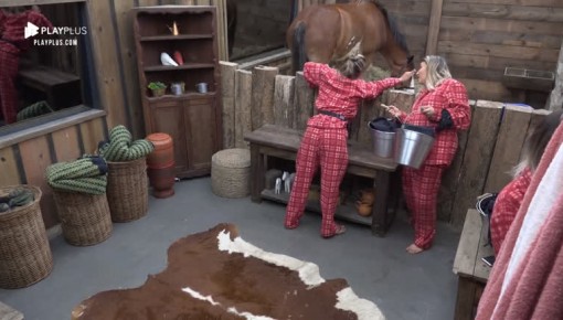 Hari conversa com cavalo: ‘Lyon, hoje acabei com minha vida’