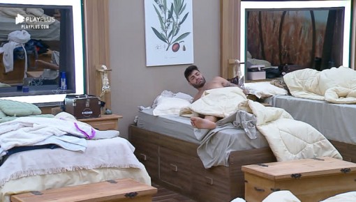 Netto não acorda para cuidar de aves e gera nova punição