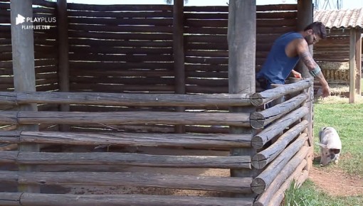 Novo responsável pelos porcos, Netto limpa o chiqueiro