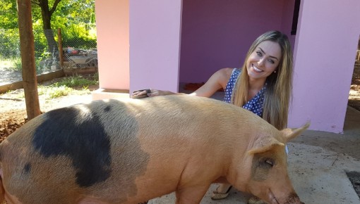 Paula, do BBB19, ama animais e tem uma porca de estimação