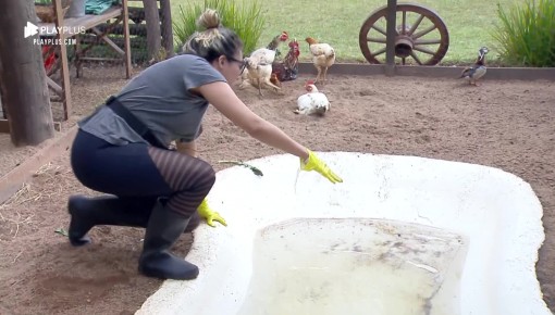 Thayse Teixeira pede ajuda para Lucas Viana no galinheiro