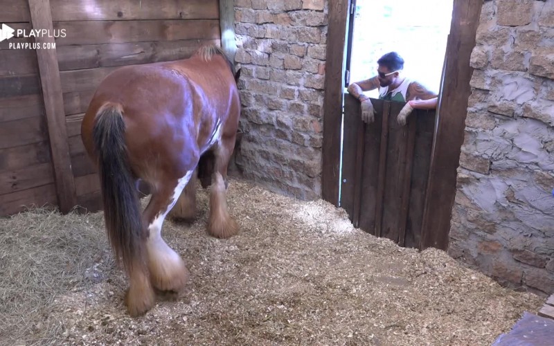 Ao cuidar e alimentar Lyon, Diego Grossi fica pensativo