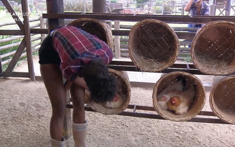 Ao tentar pegar ovos, Sabrina Paiva é bicada por galinha