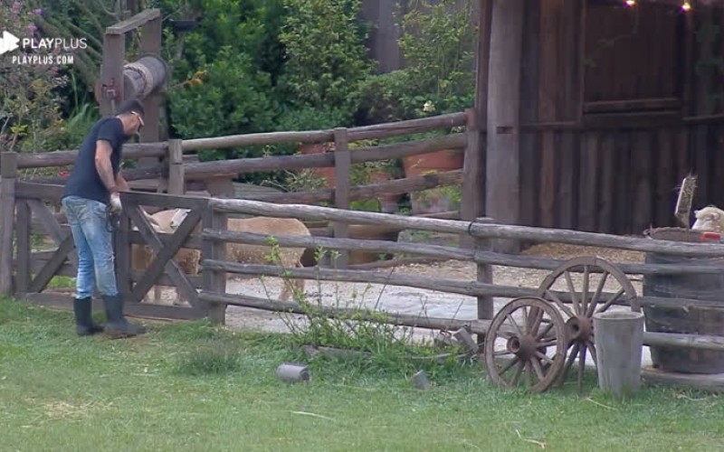Diego Grossi acorda cedo, conversa com ovelhas e passeia com Lyon