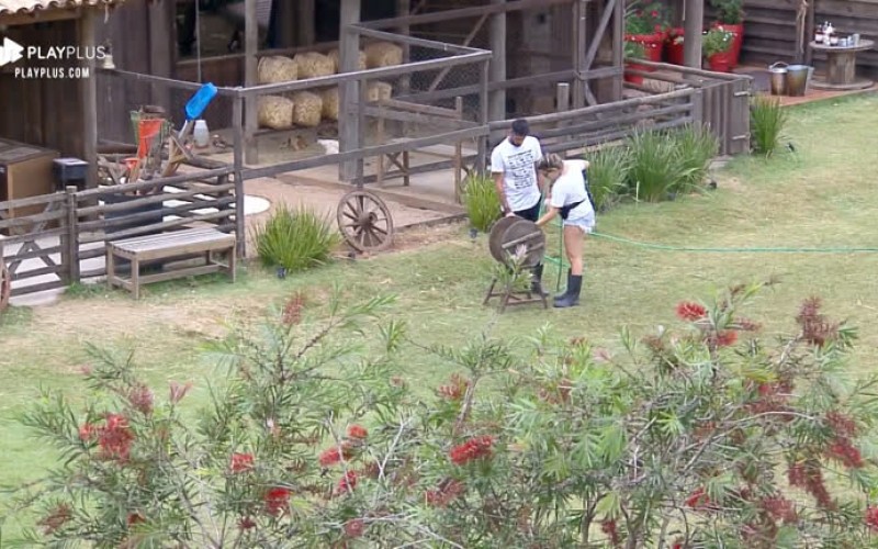 Diego Grossi ajuda Thayse Teixeira a cumprir tarefas