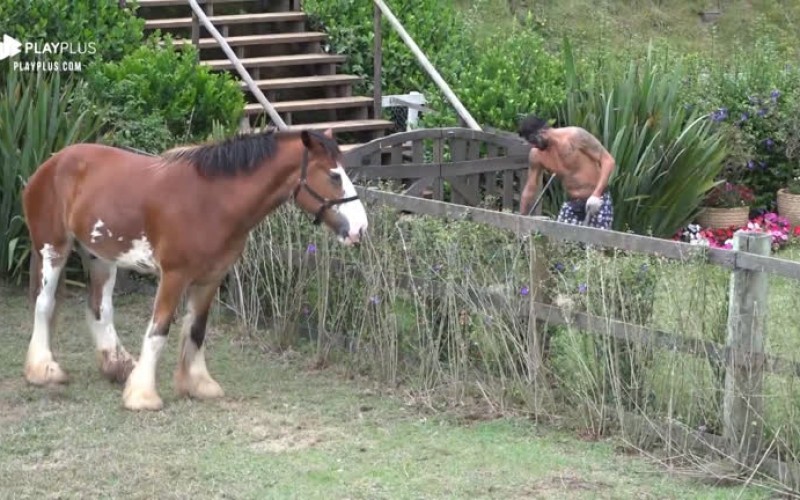 Diego Grossi cuida do jardim e reclama que Lyon comeu as plantas