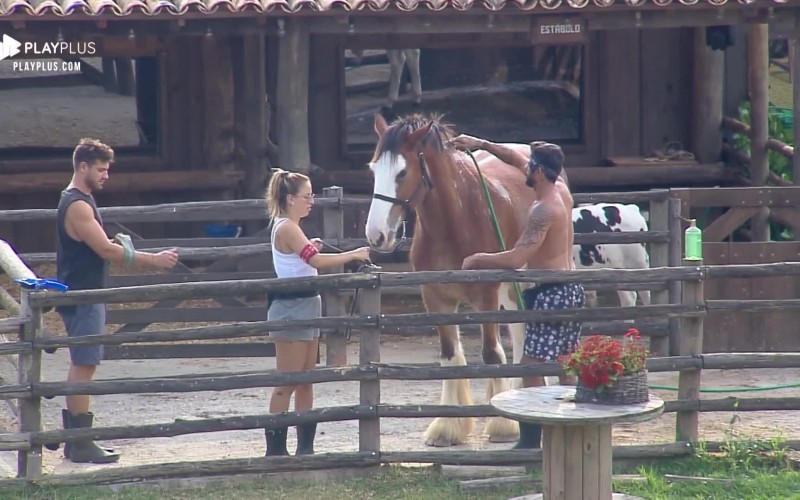 Em dia de sol, peões dão banho de esguicho no cavalo Lyon