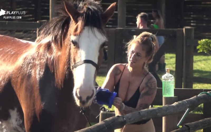 Em dia de sol, peões dão banho refrescante no cavalo Lion