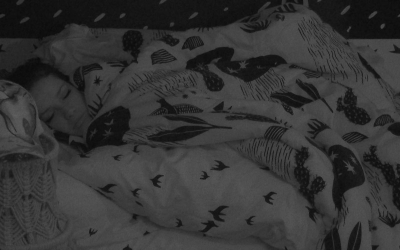 Após noite com eliminação de Rodolffo, todos dormem no BBB21