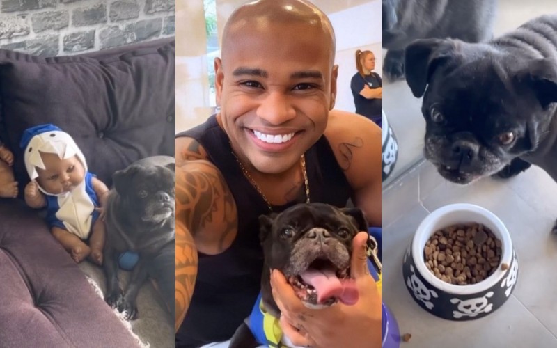 Cezar Black mostra rotina com “filhos” após BBB 23