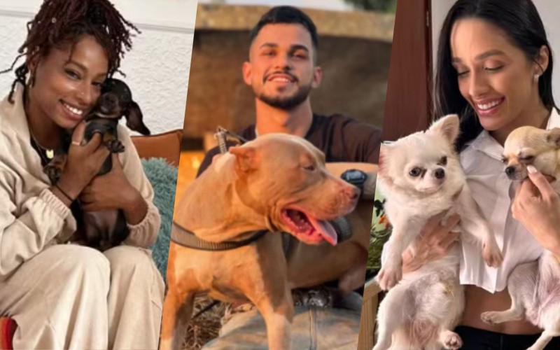 Conheça os animais de estimação dos participantes do BBB 25