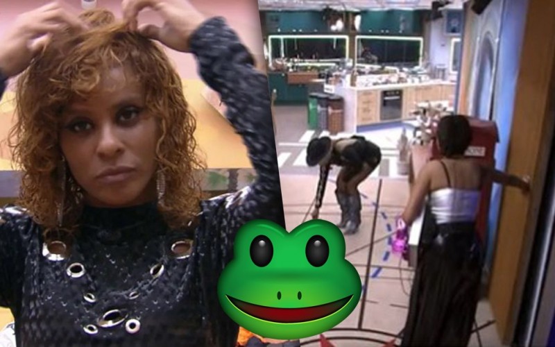 Sapo surge na sala no BBB 23 e pega sisters de surpresa
