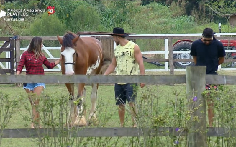 Finalistas se despedem dos animais da Fazenda