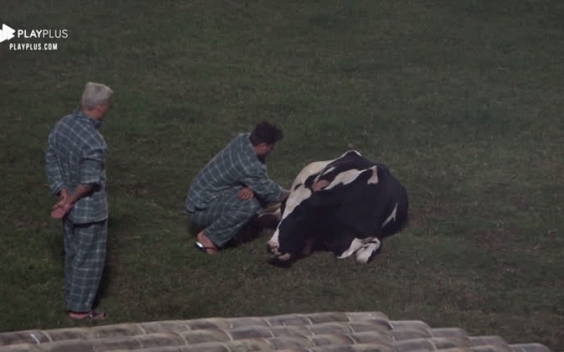 Guilherme Leão reflete sobre processo de abatimento de animais