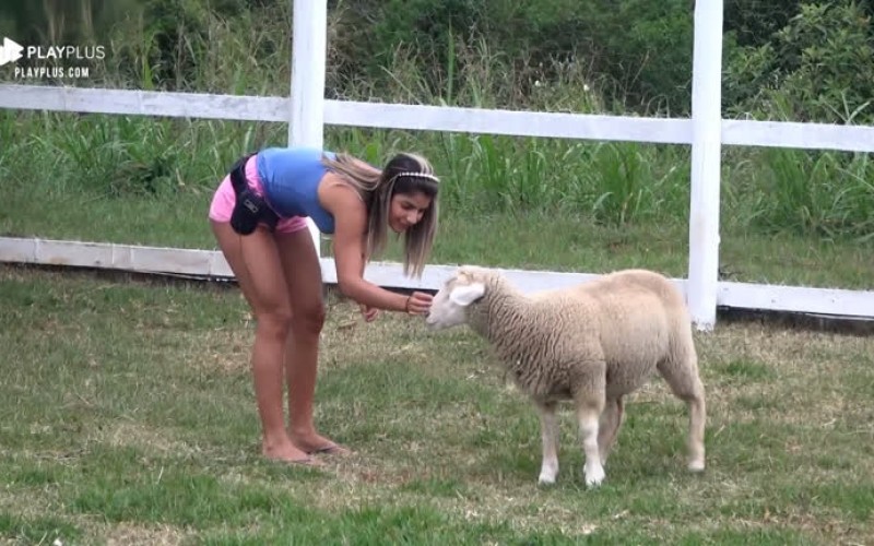 Hari Almeida brinca pela primeira vez com as ovelhas da sede