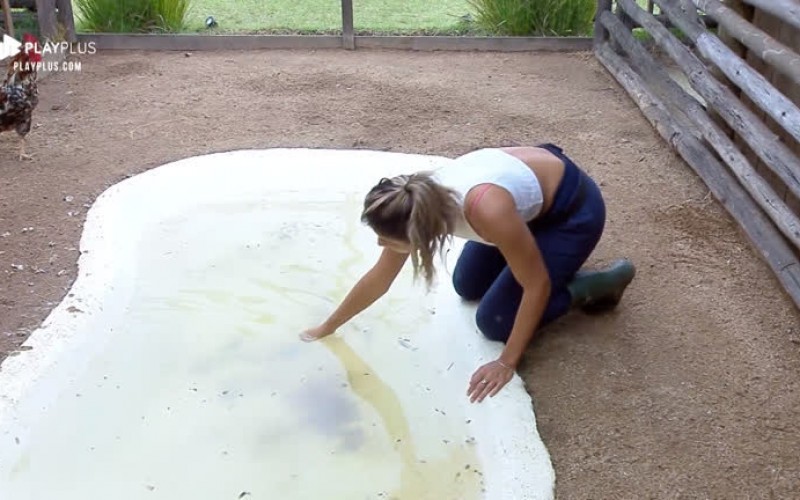 Hari Almeida e Viny Vieira cuidam da limpeza do galinheiro