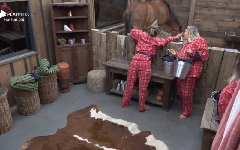 Hari conversa com cavalo: ‘Lyon, hoje acabei com minha vida’