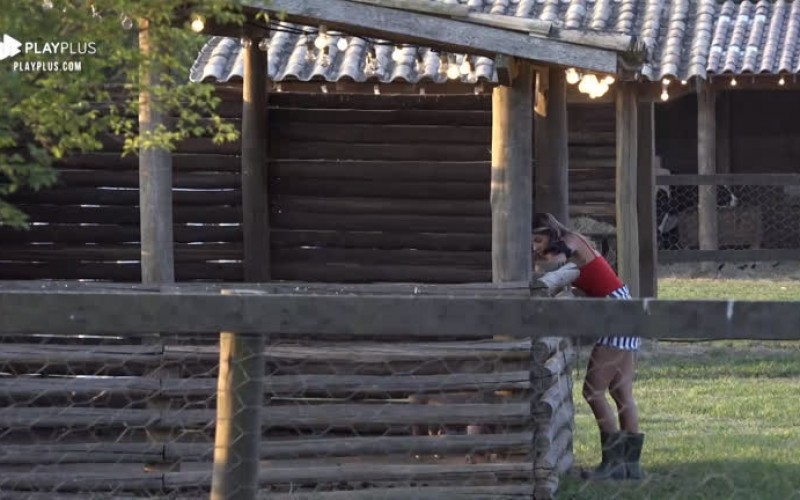 Hari conversa com porcos: 