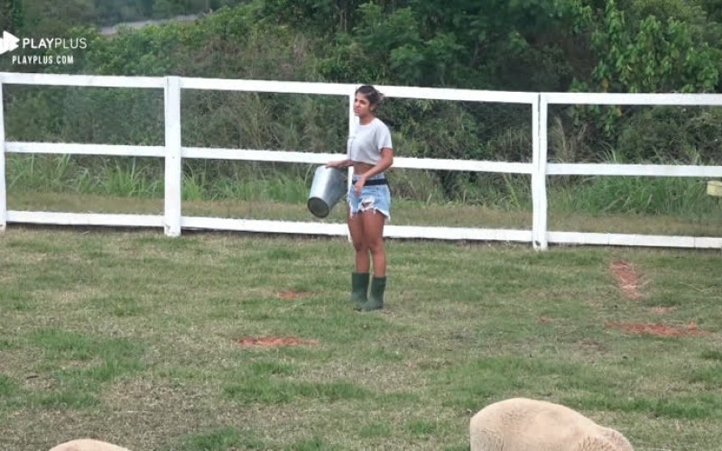 Hariany encontra sapo na área das ovelhas e fica com medo