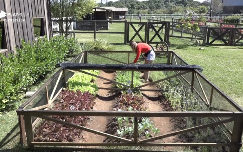 Indicada à próxima Roça, Aricia Silva cuida de horta sozinha