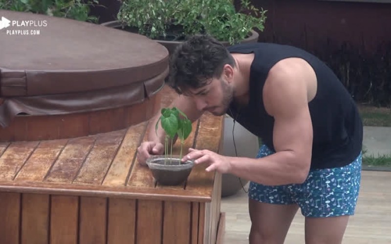 Jardineiro, Lucas Viana leva para tomar sol plantinha da sede