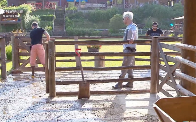 Jorge, Diego e Viny discutem sobre diferenças entre boi e touro