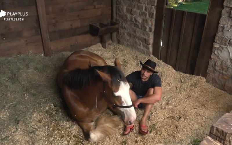 Lucas conversa com cavalo Lyon: ‘Vou sentir sua falta’