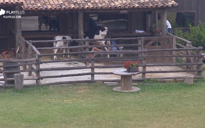 Lucas diz que atitudes de Phavanello fizeram ele superar Roça