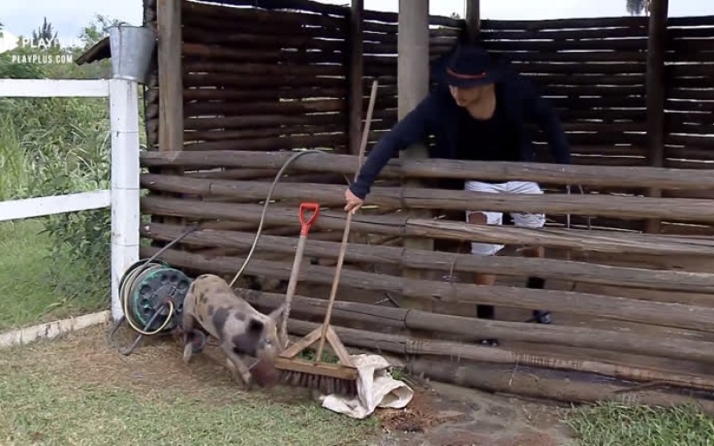 Lucas enfrenta dificuldades para cuidar dos porcos