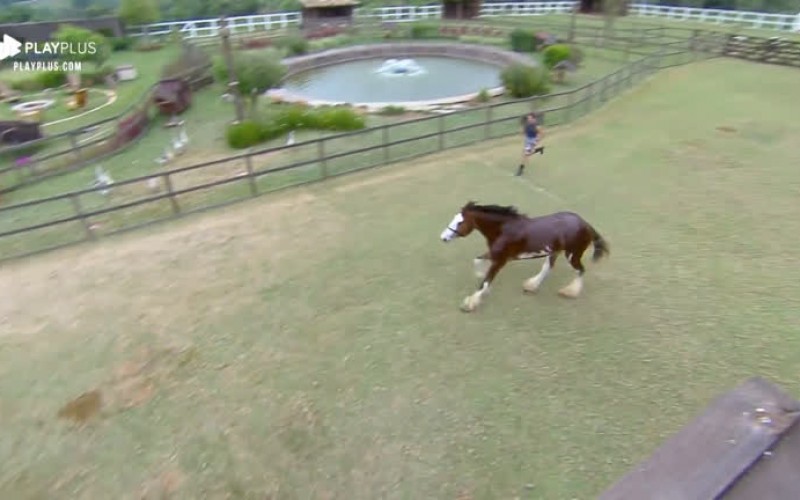 Lucas põe Lyon para correr após o banho; peões elogiaram o animal