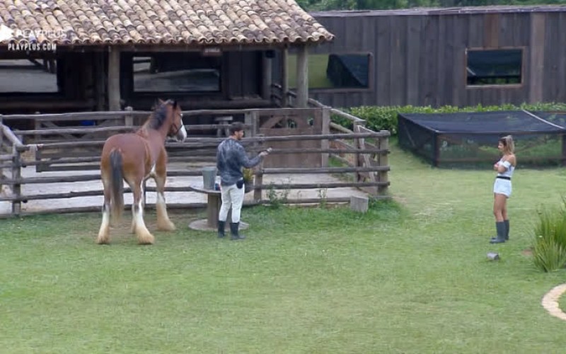 Lucas Viana ensina Hari Almeida a cuidar do cavalo Lyon