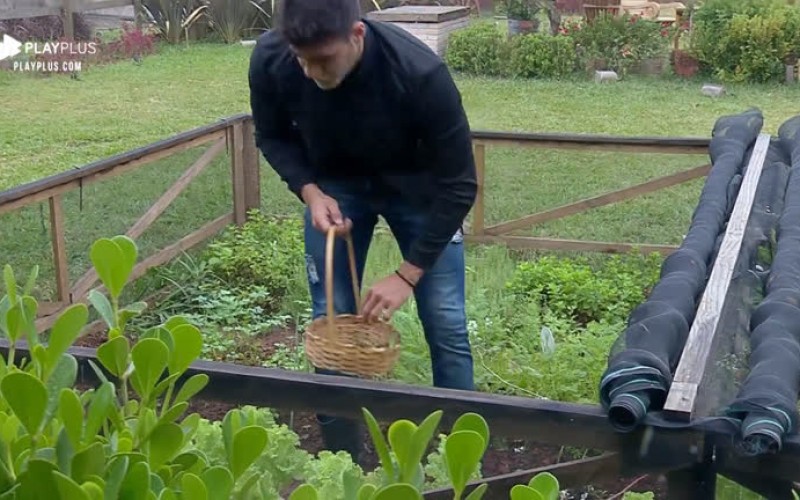 Netto acorda cedo e enfrenta frio para cuidar da horta da sede