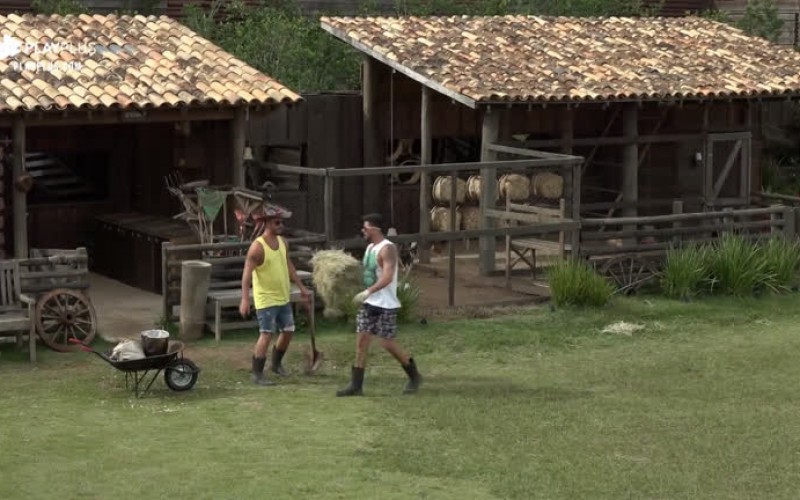 Novo fazendeiro, Phavanello ensina Diego Grossi a cuidar das lhamas