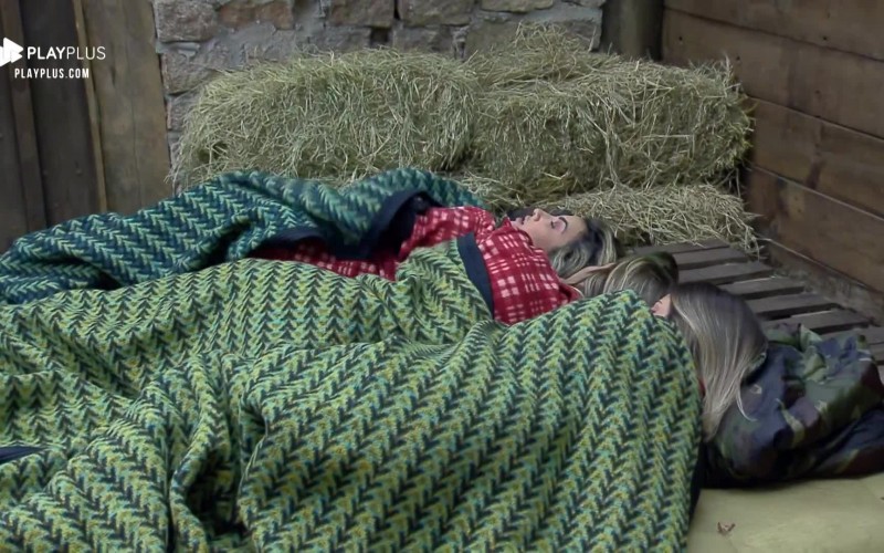 Peoas se assustam com pássaro na baia: ‘É um morcego’, diz Thayse