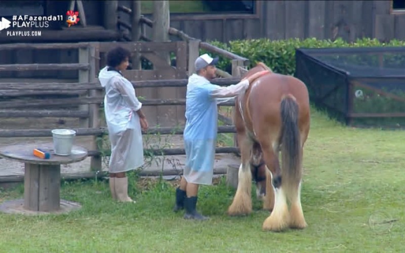 Peões aproveitam os últimos momentos antes da roça