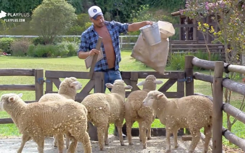 Phavanello cuida de ovelhas e Sabrina tira água do poço