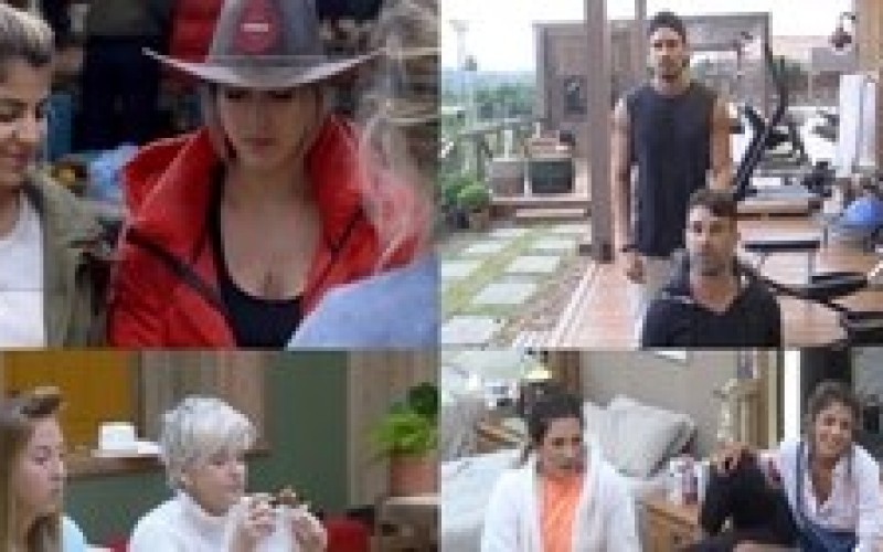 Qual amizade em A Fazenda 11 te representa?