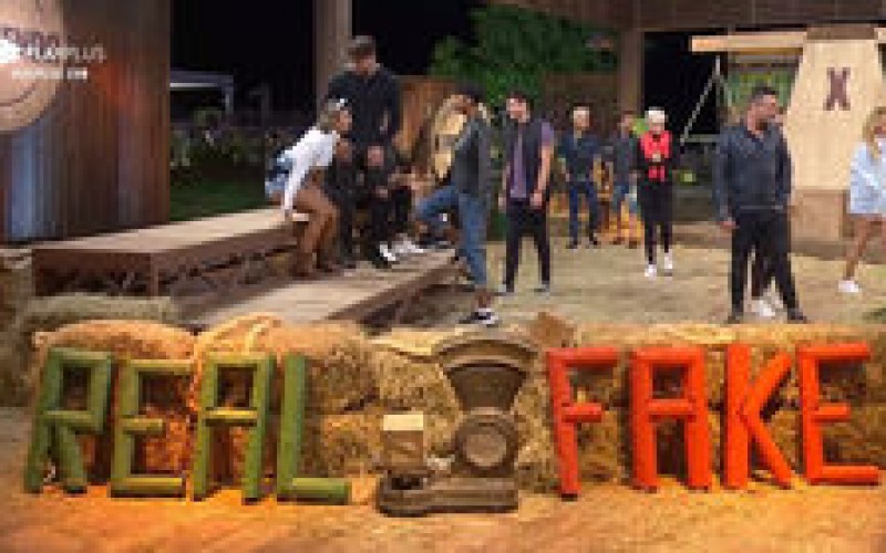 Quem você acha que é real ou fake em A Fazenda 11?