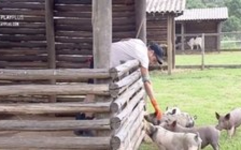 Relembre 5 momentos de Guilherme com os animais