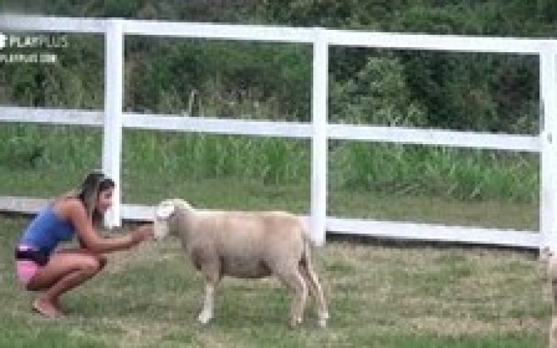 Relembre 5 momentos de Hari Almeida com os animais