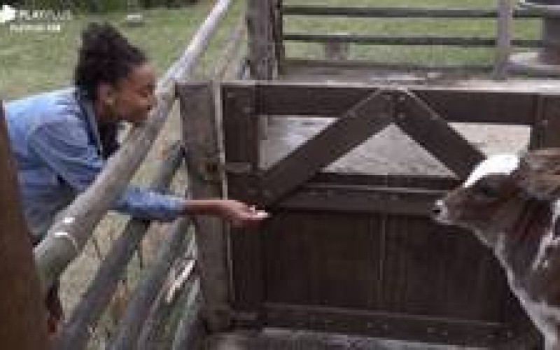 Relembre 5 momentos de Sabrina com os animais