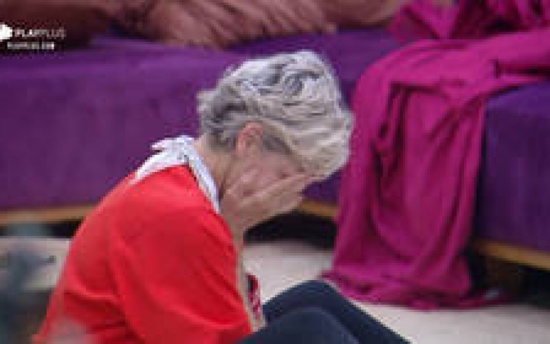 Relembre 5 vezes em que Andréa sentiu medo ao cuidar dos animais