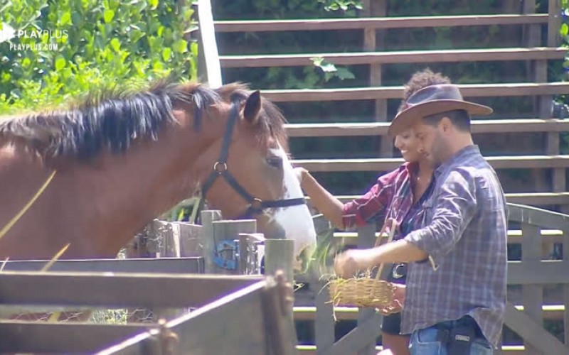 Rodrigo Phavanello e Sabrina Paiva brincam com o cavalo Lyon